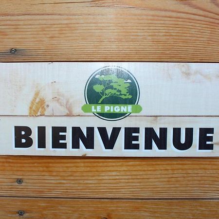Gite Le Pigne Curbans Екстериор снимка